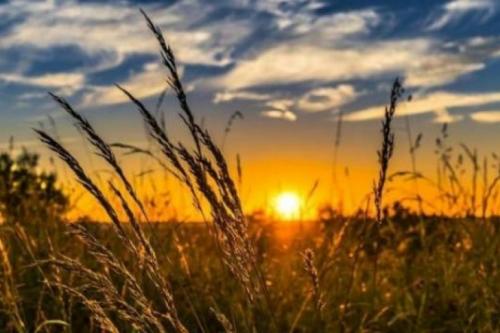 7 августа праздник церковный. Какой церковный праздник, сегодня, 7 августа чтят православные христиане