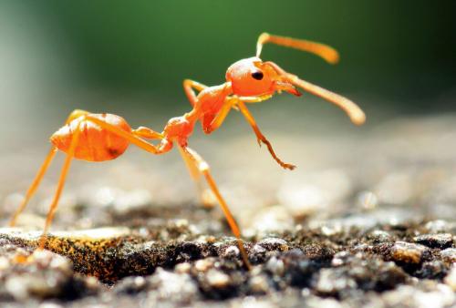 Океанология интересные факты. 30 сумасшедших фактов о Мировом океане