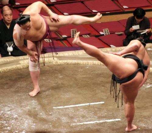 Почему борцам сумо запрещено водить машину. 