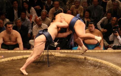 Почему борцам сумо запрещено водить машину. 