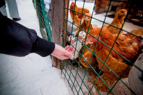 Идеи для корпоратива зимой. 8 идей для зимнего корпоративного отдыха