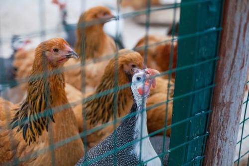 Идеи для корпоратива зимой. 8 идей для зимнего корпоративного отдыха