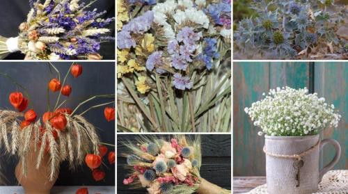 Как сушить цветы, чтобы они не теряли цвет. 12 способов засушить живые цветы
