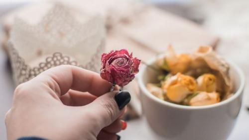 Как быстро засушить цветы. Что за мода такая? 04