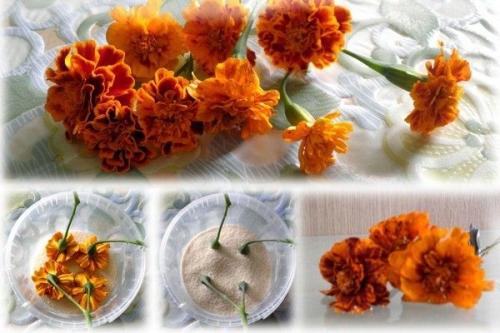 Как сушить цветы, чтобы они не теряли цвет. 12 способов засушить живые цветы