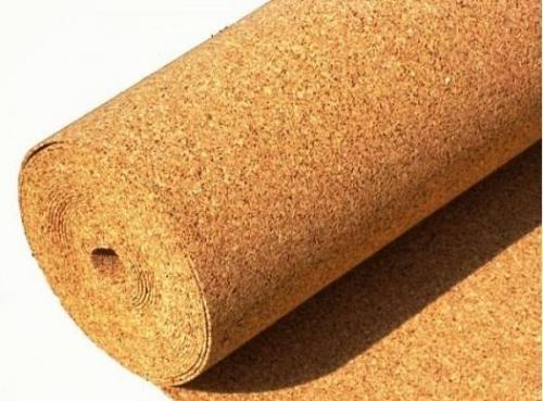 Интересные Факты про дуб. Дуб. Факты о необычном дереве 03