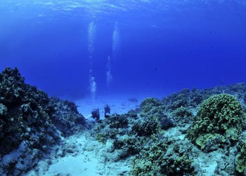 Сколько времени человек может обходиться без воздуха. Сколько человек может прожить без воздуха? 15