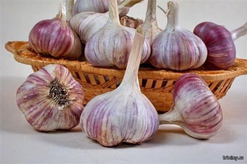 Сладкие продукты. Самые сладкие продукты в мире (8 фото)