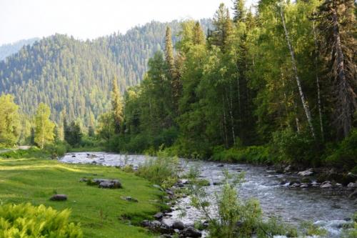 Сколько времени человек может обходиться без воздуха. Сколько человек может прожить без воздуха? 09