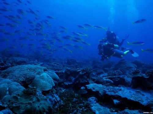 Сколько времени человек может обходиться без воздуха. Сколько человек может прожить без воздуха? 14