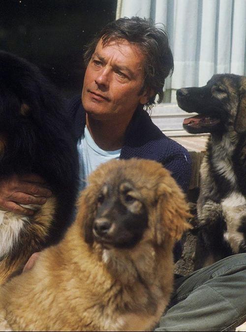 Интересные завещания в россии. 10 самых необычных завещаний (это интересно) 11