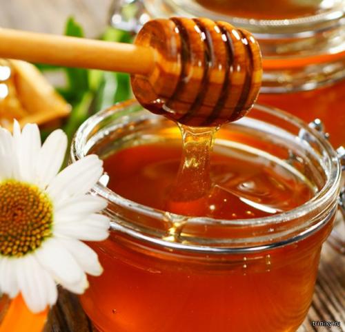 Сладкие продукты. Самые сладкие продукты в мире (8 фото)