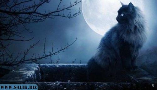 Как понять, Что скоро умрешь 04