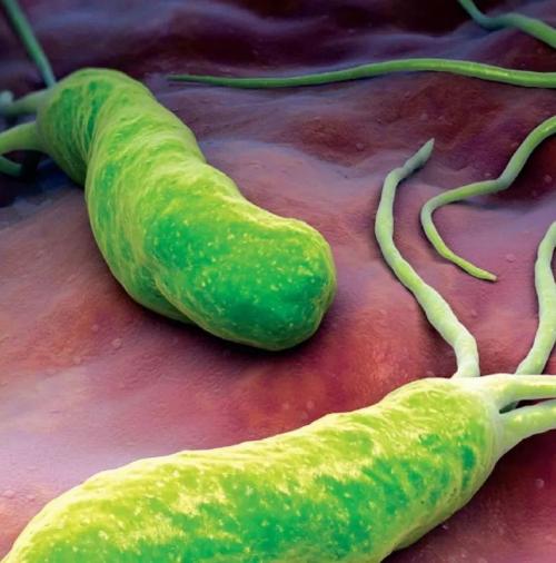 Как убрать вздутие живота быстро в домашних условиях. Как быстро убрать вздутие живота в домашних условиях 02 Как убрать вздутие живота быстро в домашних условиях. Как быстро убрать вздутие живота в домашних условиях 02