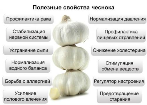 Что будет с кровью если есть чеснок каждый день. Научные факты о влиянии чеснока на кровь — разжижает ли он ее или сгущает?