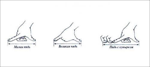 Чем измеряли в старину. Сколько ладоней в одном локте? Или старинные русские меры длинны