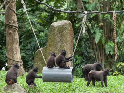 Керлинг интересные факты. Факты о керлинге 16