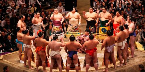 Почему борцам сумо запрещено водить авто. Топ фактов о сумо