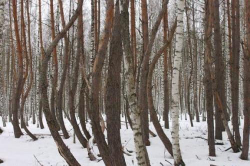 Где находится китеж. Интересные факты