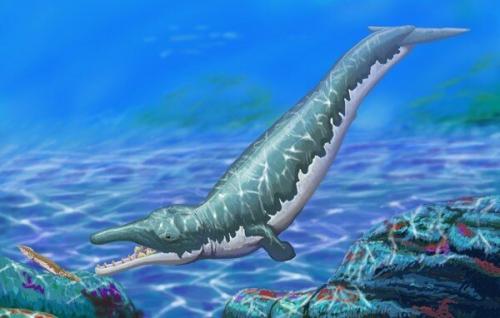 Зубы кита.  Зигориза