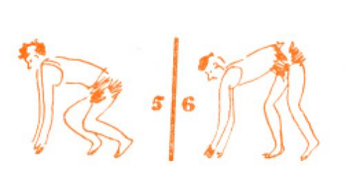 Низкий старт кенгуру. История 03