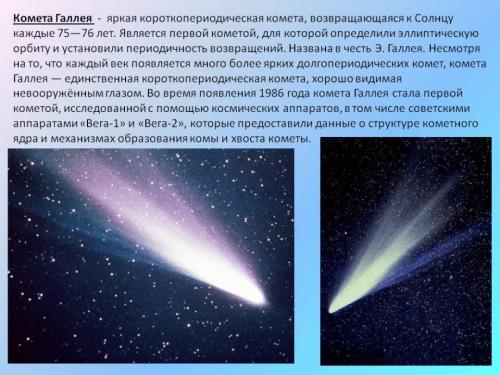 Керлинг интересные факты. Факты о керлинге 10