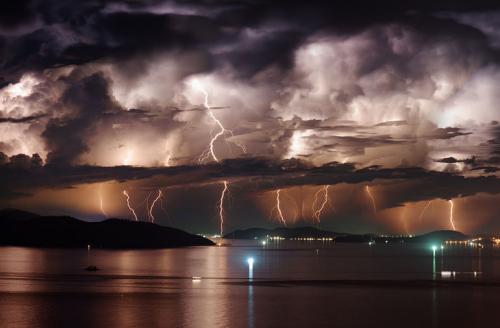 В какие деревья чаще всего ударяет молния и где лучше прятаться от грозы? 03