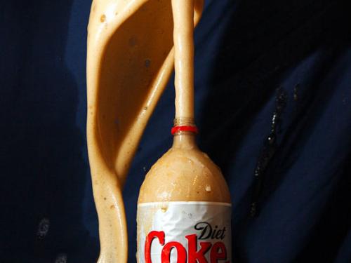 Почему у кита фонтанчик. Интересные факты