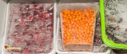 Чай с облепиховым соком. Облепиховый чай: лучшие рецепты из замороженных и свежих ягод, польза и противопоказания