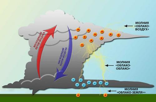 В какие деревья чаще всего ударяет молния и где лучше прятаться от грозы? 04