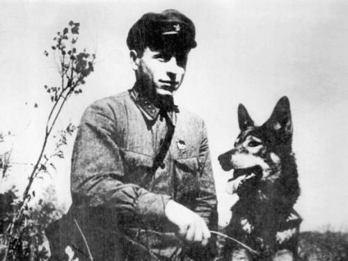 Вот где собака зарыта происхождение фразеологизма. Интересные факты