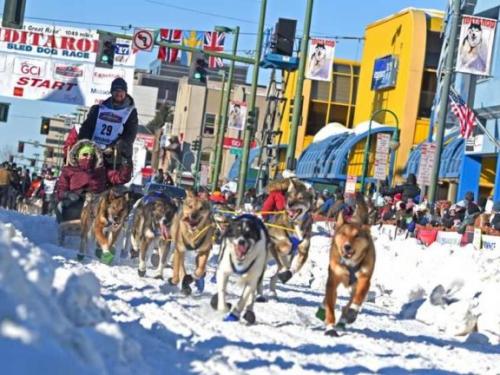Вот где собака зарыта происхождение фразеологизма. Интересные факты