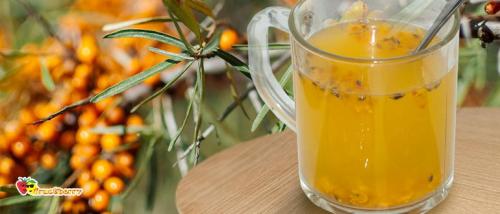 Чай с облепиховым соком. Облепиховый чай: лучшие рецепты из замороженных и свежих ягод, польза и противопоказания