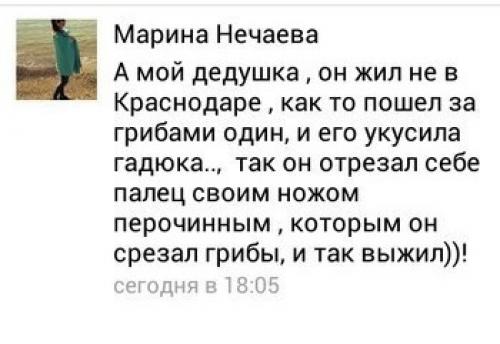 Детеныш змеи название. Как размножаются змеи?