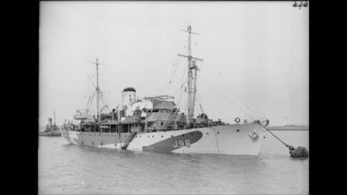 Марианская впадина интересные факты. 7 фактов о Марианской впадине - самой глубокой на Земле