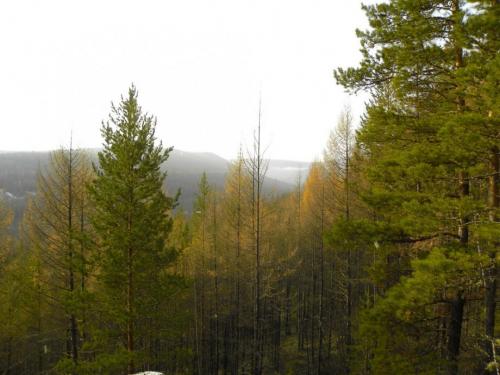 Республика саха якутия интересные факты. 40 интересных фактов о Якутии 09