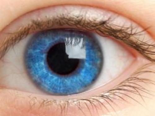 Зрачок это орган или нет: что такое зрачок