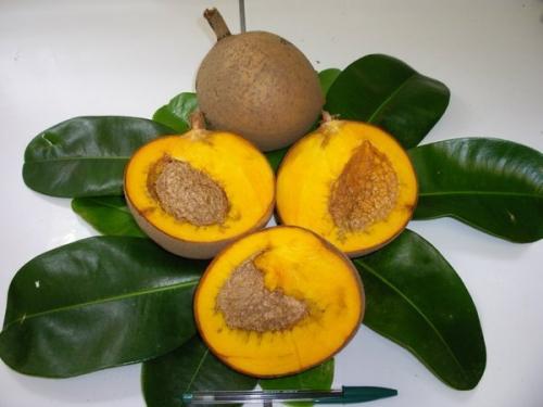 Интересные факты о фруктах. 12 интересных фактов о фруктах 14