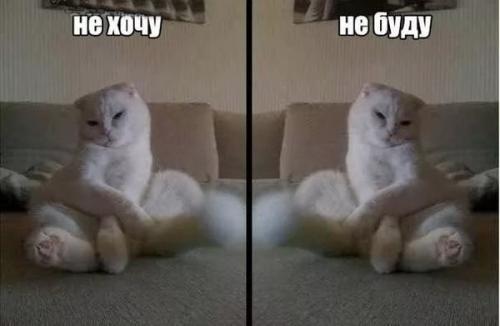 Эквадор интересные факты о стране. 10 самых интересных фактов об Эквадоре