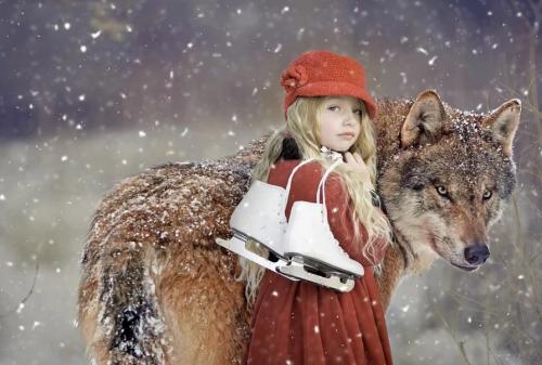 Интересные факты о катании на коньках. Коньки — интересные факты