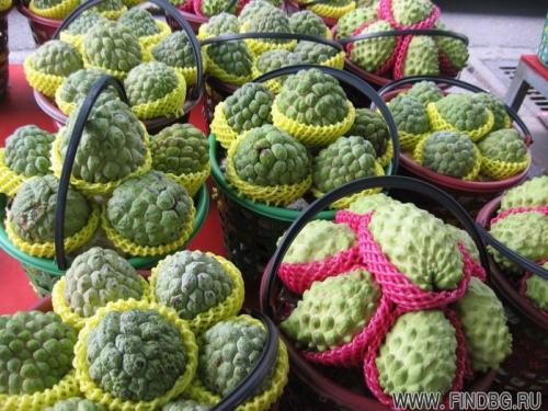 Интересные факты о фруктах. 12 интересных фактов о фруктах 13