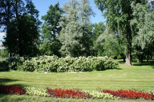 Место дуэли Пушкина. Чёрная речка. Предполагаемое место дуэли Пушкина