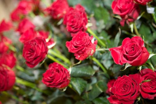 Интересные факты о фруктах. 12 интересных фактов о фруктах 08