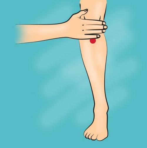 Точки на теле человека для похудения. Методы и особенности акупунктуры 11