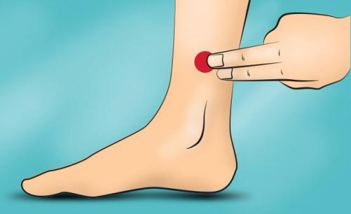 Точки на теле человека для похудения. Методы и особенности акупунктуры 12