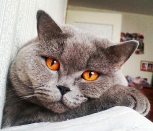 Как понравиться человеку. Как понравиться любому человеку: 6 основных способов