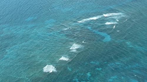 Факты о атлантическом океане. Атлантический океан - самое интересное 08