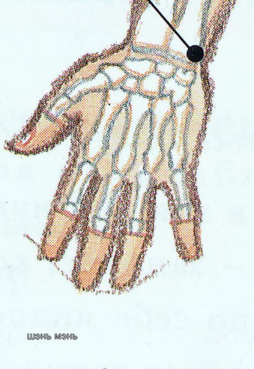 Точки голода и жажды на ухе. Иглоукалование для похудения