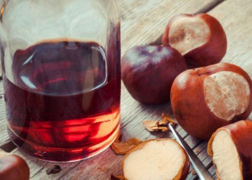 Зачем нужны каштаны. Польза и вред конского каштана