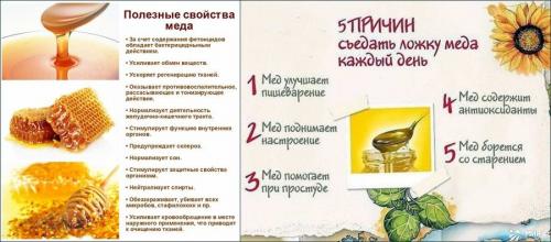 Что будет если есть каждый день мед. Что будет, если есть мед каждый день (6 фото) 02